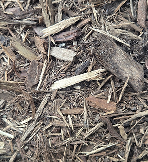 Forest Mulch. Natural, earthy mulch blend that improves soil health and blends into wooded landscapes.