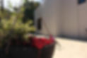 Witrivier Farmstay Header