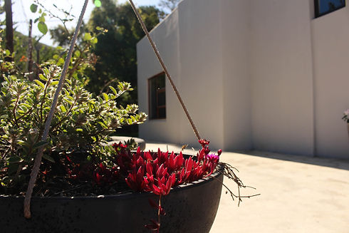 Witrivier Farmstay Header
