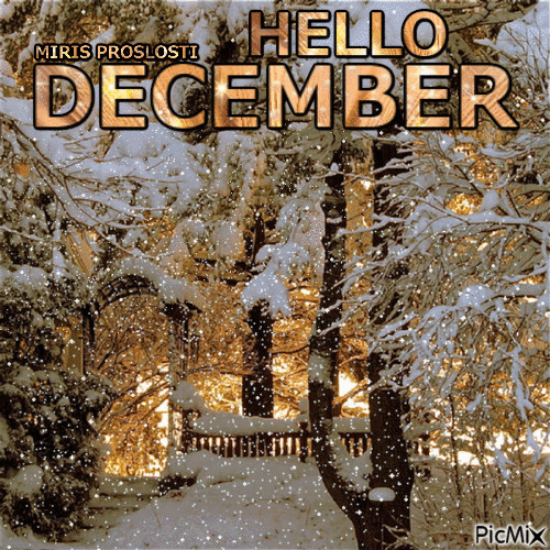 hello_décember.gif