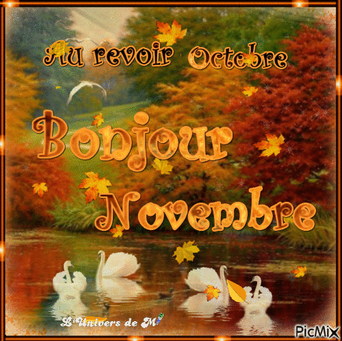 novembre.gif