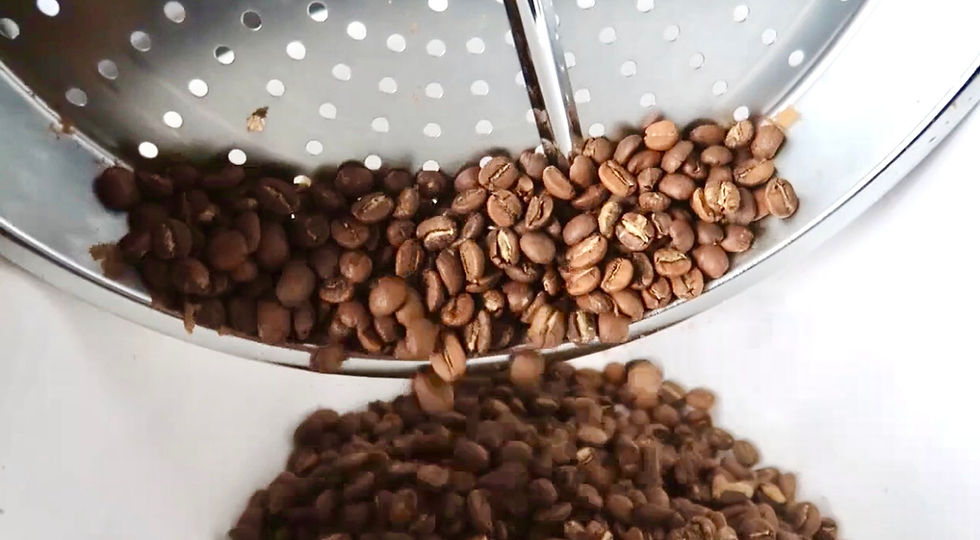 Thumbnail: Jamaica Blue Mountain Coffee Mini