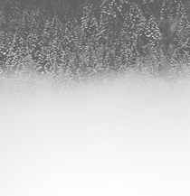 Fog