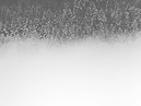 Fog