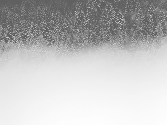 Fog