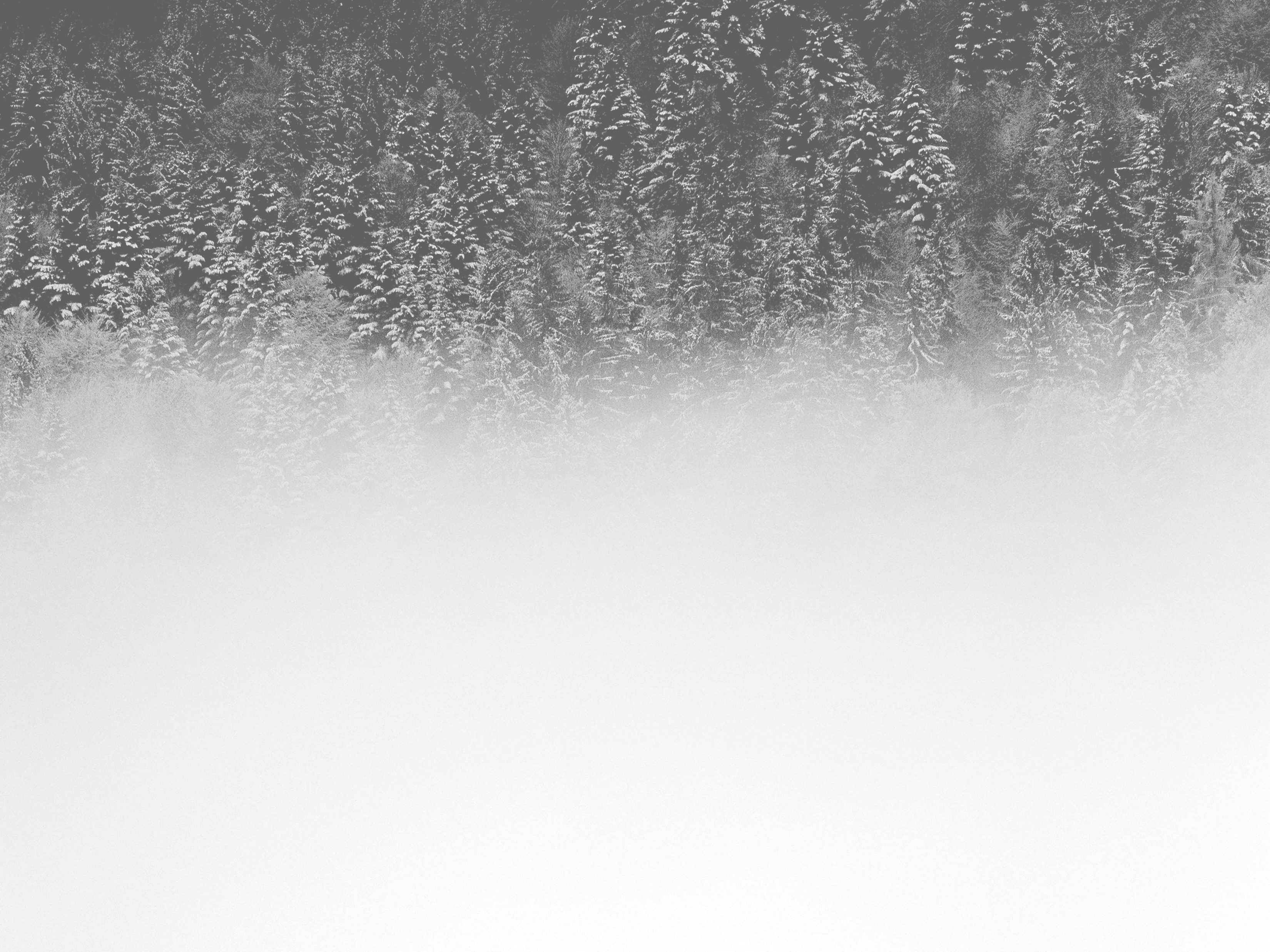 Enchanted Forest Teepee Tent