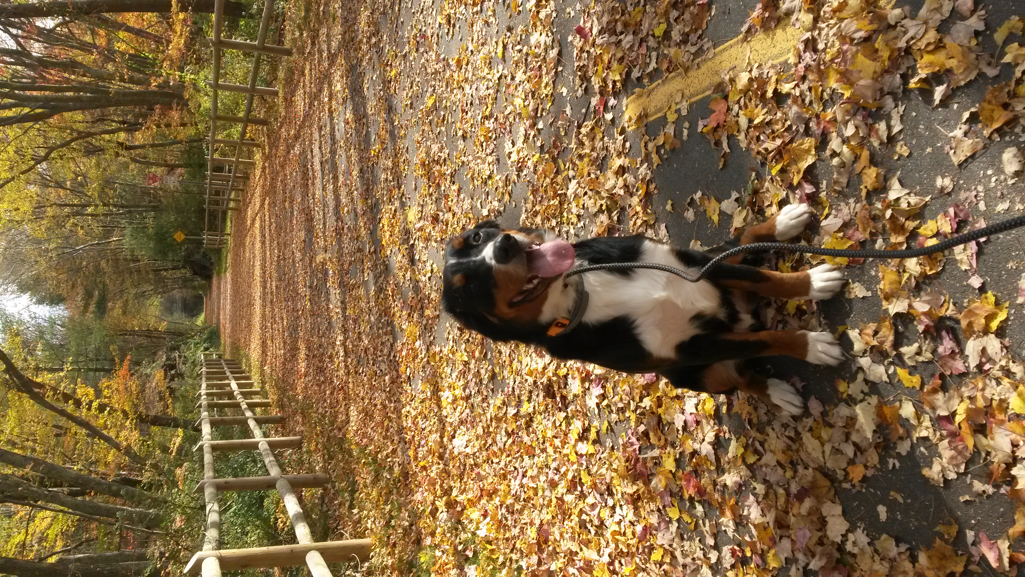 Remington