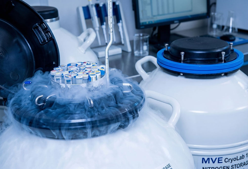 Embriões: Euploide, Mosaico e Aneuploide