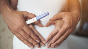 Avanços Mais Recentes na Área de Reprodução Assistida