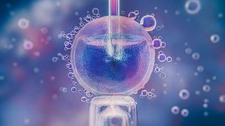A Fertilização in Vitro (FIV) Apresenta Risco de Vida ou É Considerada um Procedimento Seguro?