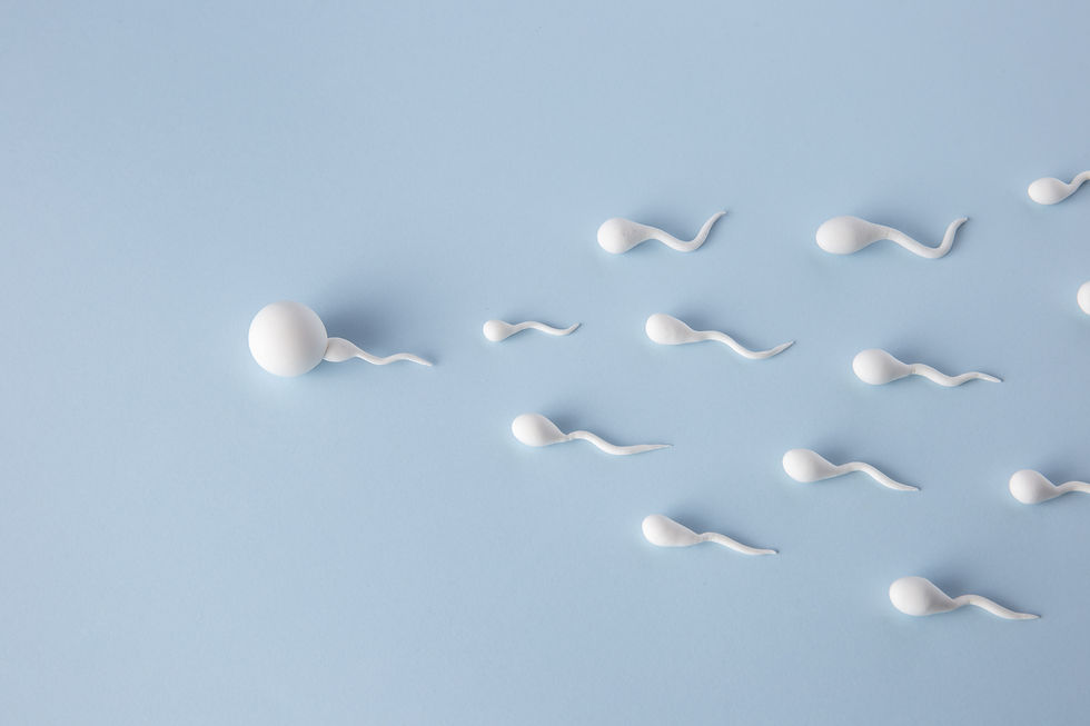 Embriões: Euploide, Mosaico e Aneuploide