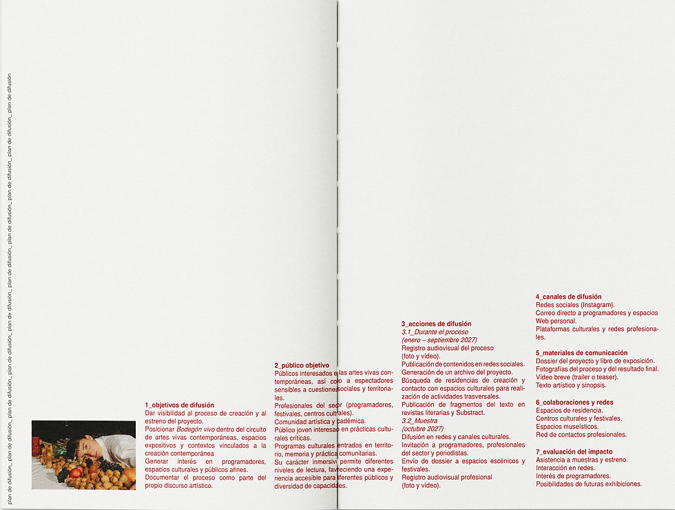 dossier_bodegon vivo 14.png