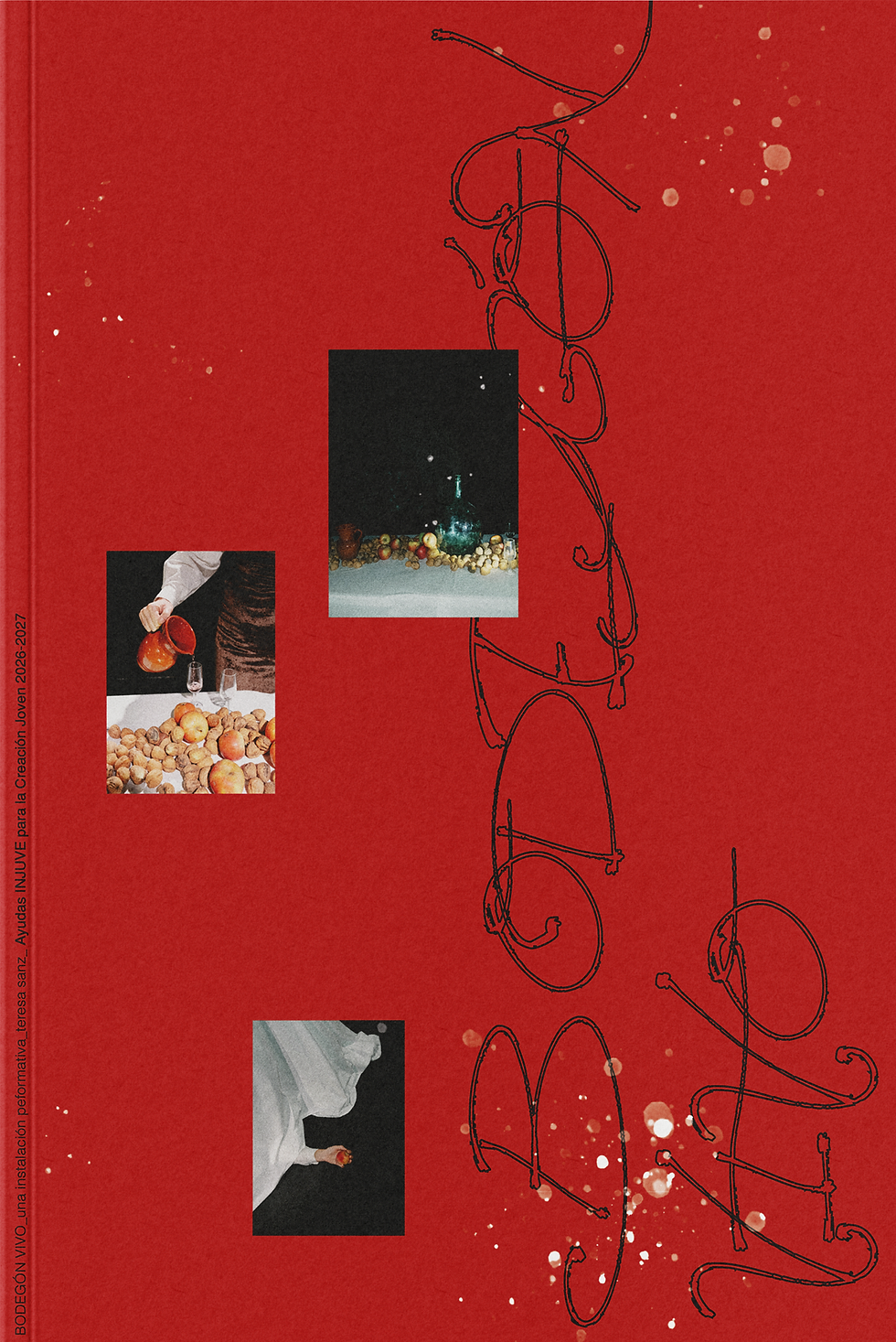 dossier_bodegon vivo 1.png