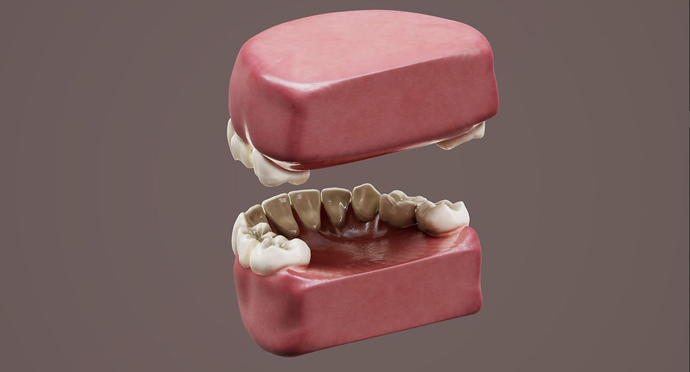 Thumbnail: Primary Human Teeth PBR 3d Model