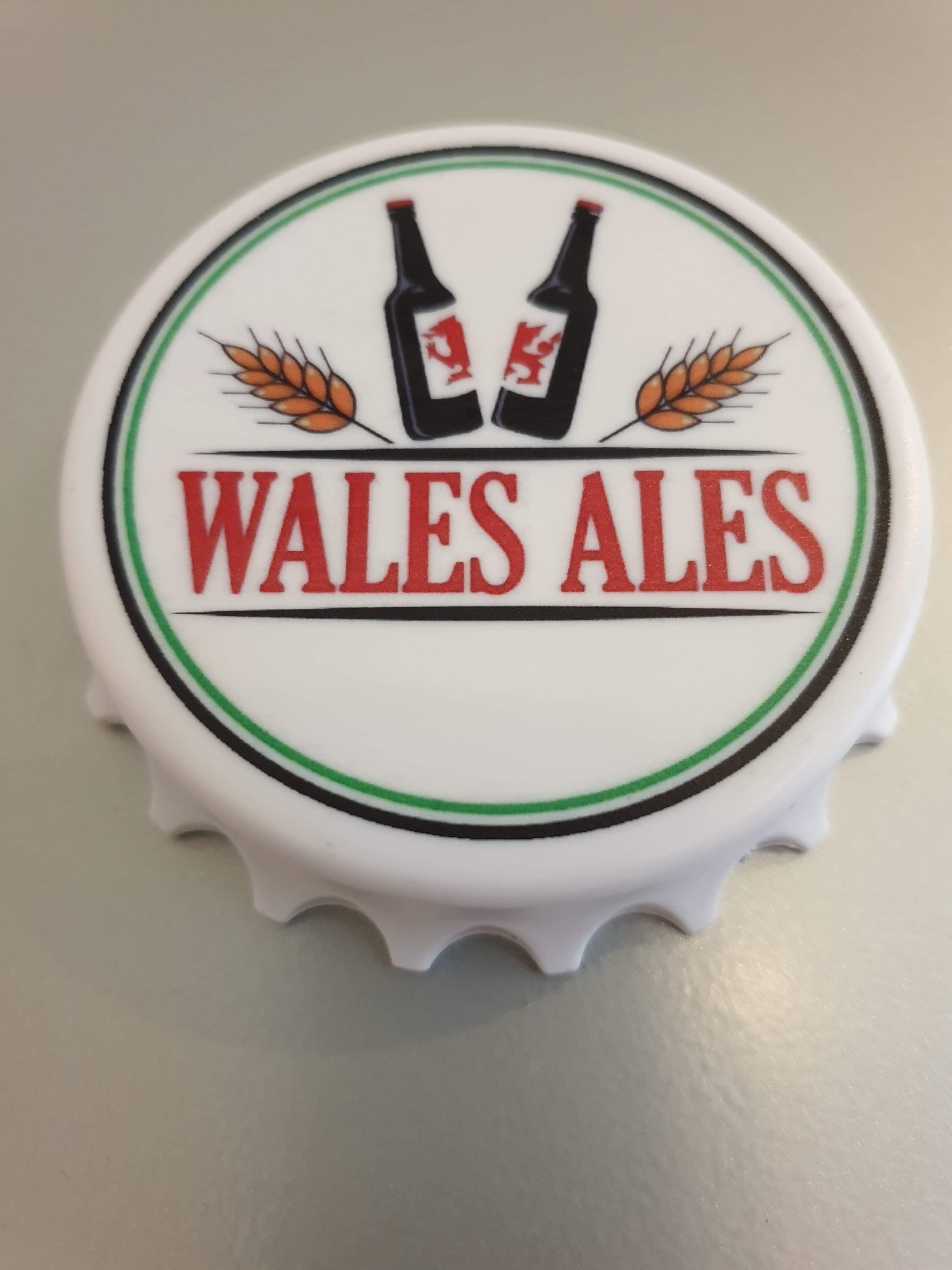 FRIDGE MAGNET BOTTLE OPENER (Gold £3.71)