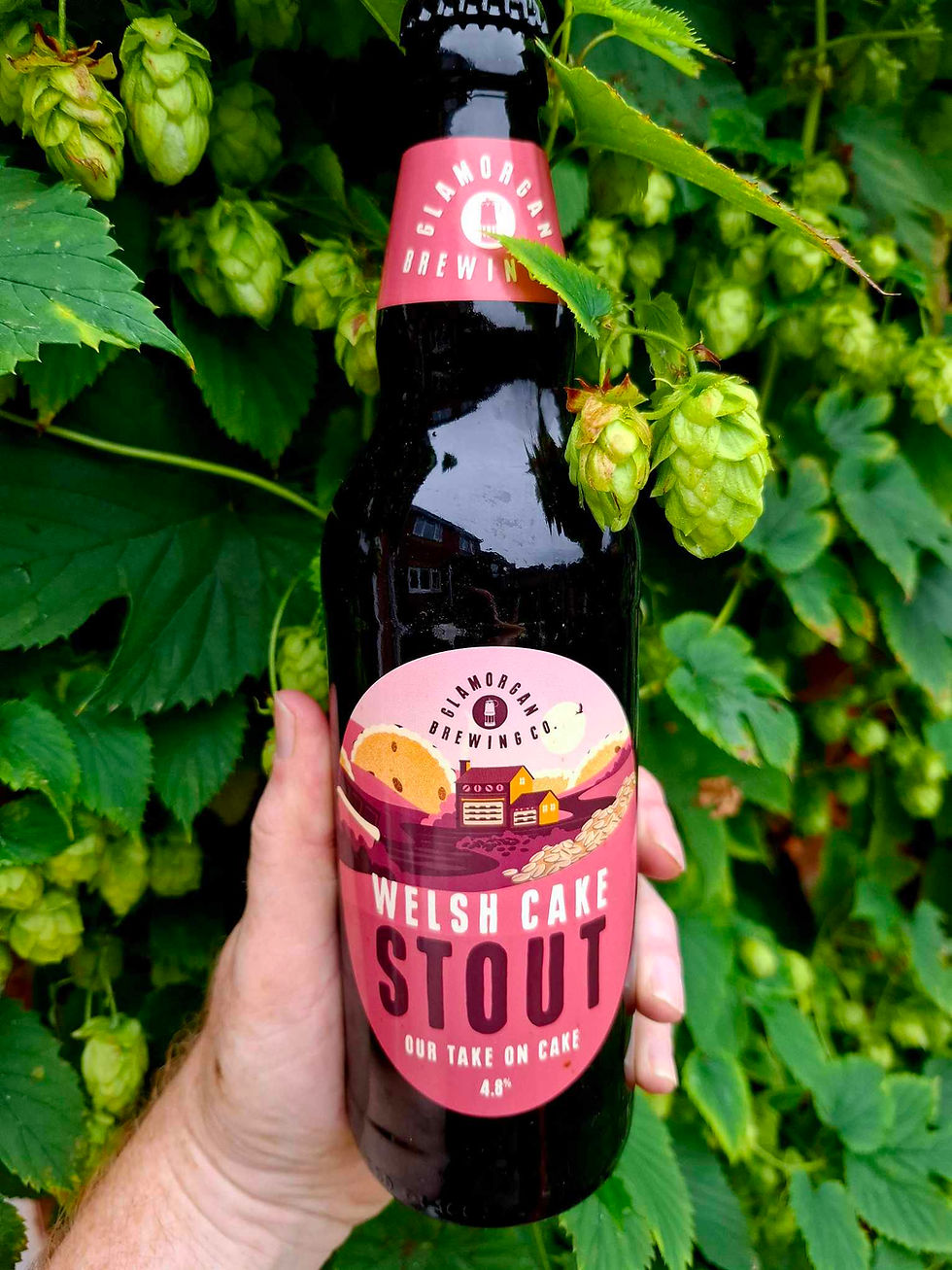 GLAMORGAN - WELSH CAKE STOUT (500ml)4.8% (Gold £3.06)
