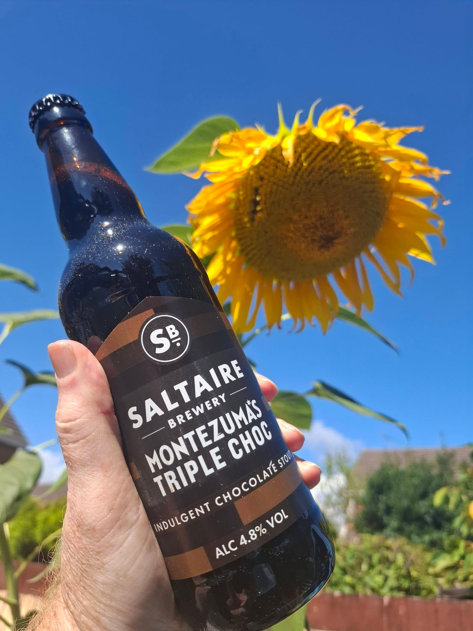 SALTAIRE - TRIPLE CHOCOLATE STOUT (500ml) 4.8%