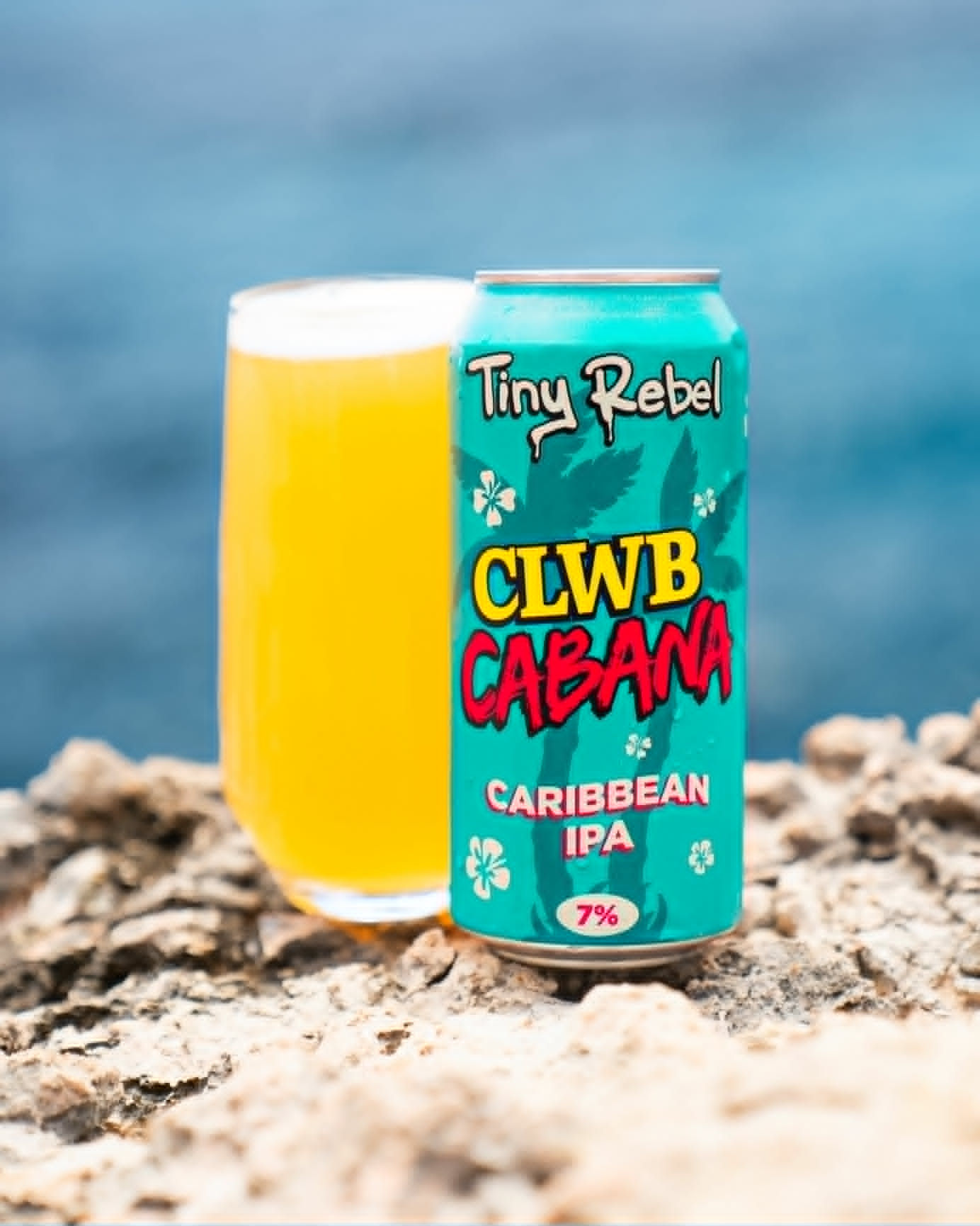 TINY REBEL - Clwb Cabana
IPA (440ml)7% (£3.50)