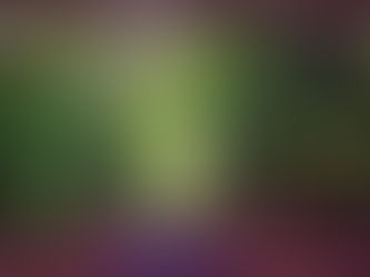 غابات بلغراد… سنترال بارك اسطنبول