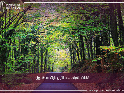 غابات بلغراد… سنترال بارك اسطنبول