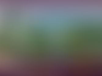 طريق باسن اكسبرس في اسطنبول ،لاستثمار المستقبل