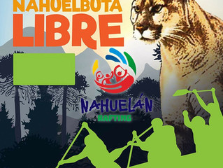 Festival del río Carampangue