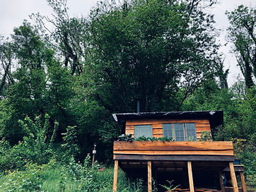 Heal Naturally clinic