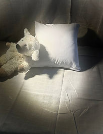 Housse de coussin personnalisable