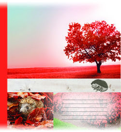 332_gm_nb_NEW_2019_VOVA_w02-04