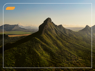 TNFD: integrando a biodiversidade na Governança Corporativa