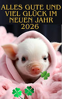 Alles Gute und viel Glück im 2026.jpg