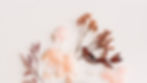 marybou5_edited.jpg