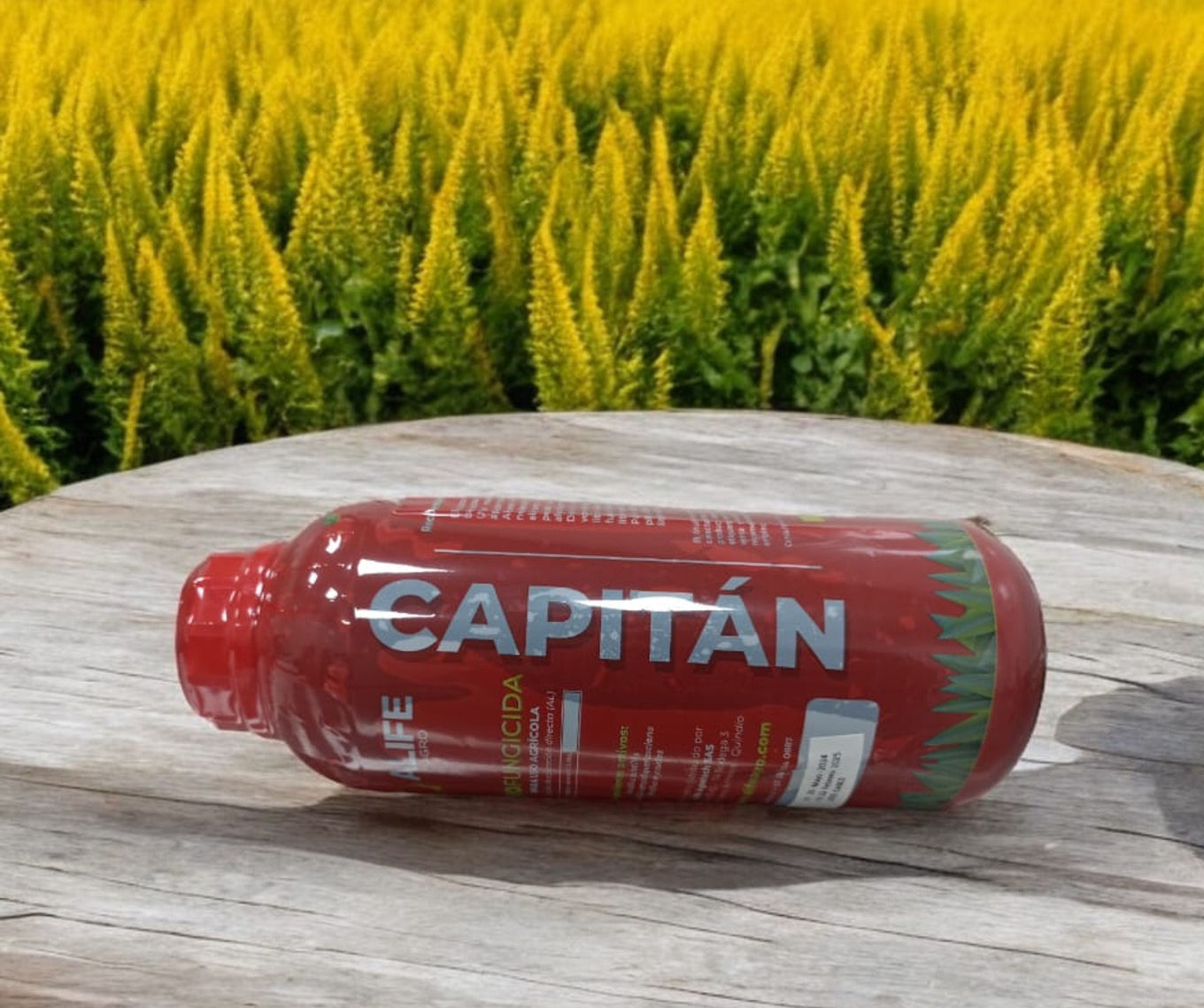 Capitán Biofungicida
