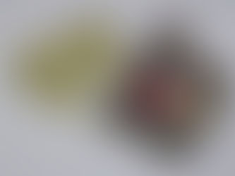 Let's Sew the Essential Card Clutch by Rosie & David Patterns