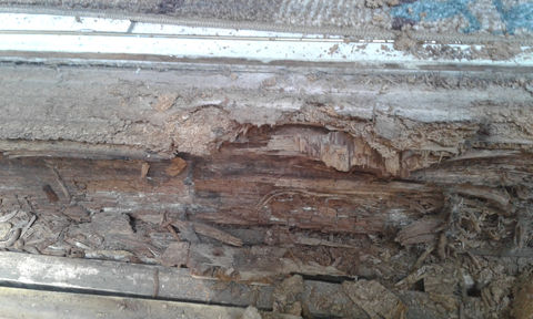 Wood Rotting Issues