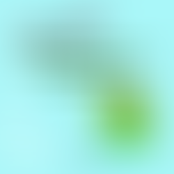 História - Meu nome é Zé e o seu qual é? (Cintia Pontes)