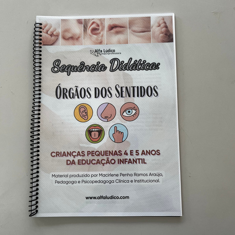 Sequência Didática