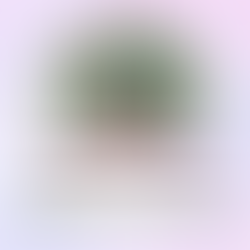 Projeto Didático "Por trás das letras" - A Dona Aranha "AULA 1"