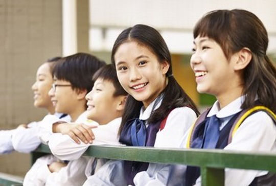 PSLE Chinese Tuition in Singapore.jpeg
