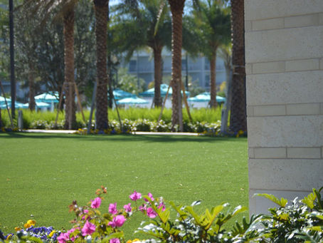 Choosing The Right Landscaper