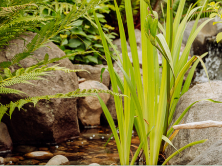 Why Choose Second Generation Landscapes