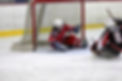 wisconsin-sting-goalie.jpg