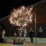 2021 Chamber Christmas Contest