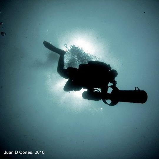 Foto del escritor: Jose Luis Arreola