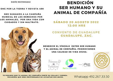 bendicion animales 20 de agosto, bendición en el Convento de Guadalupe, bendecir el vínculo entre ser humano y su animal de compañia, Dia Internacional de los Animales Sin Hogar