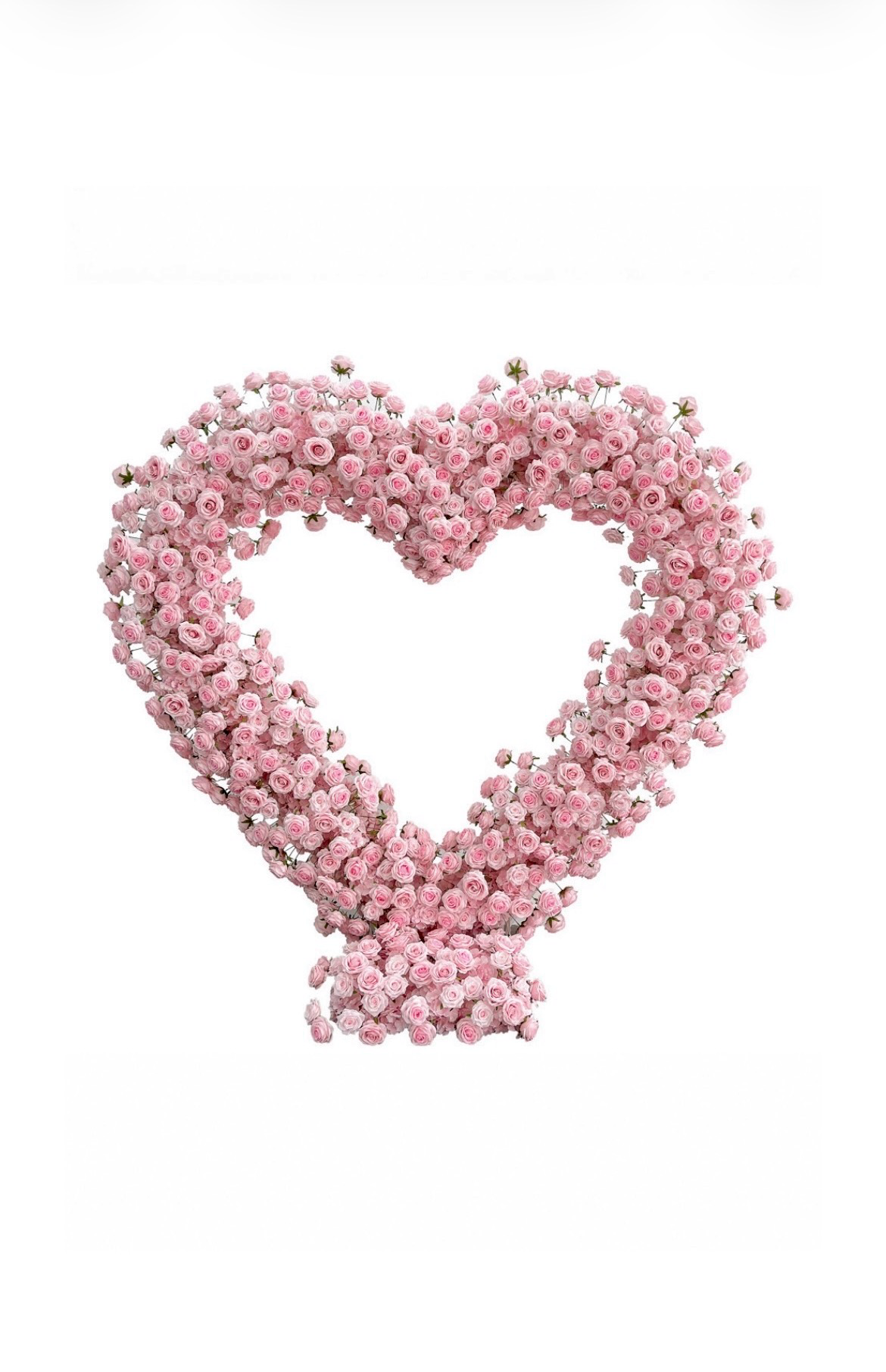 Amour Rose Wall (Pink)