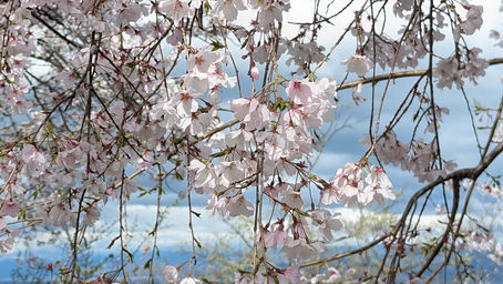 Mt Bizan, Then the Start of the Tour