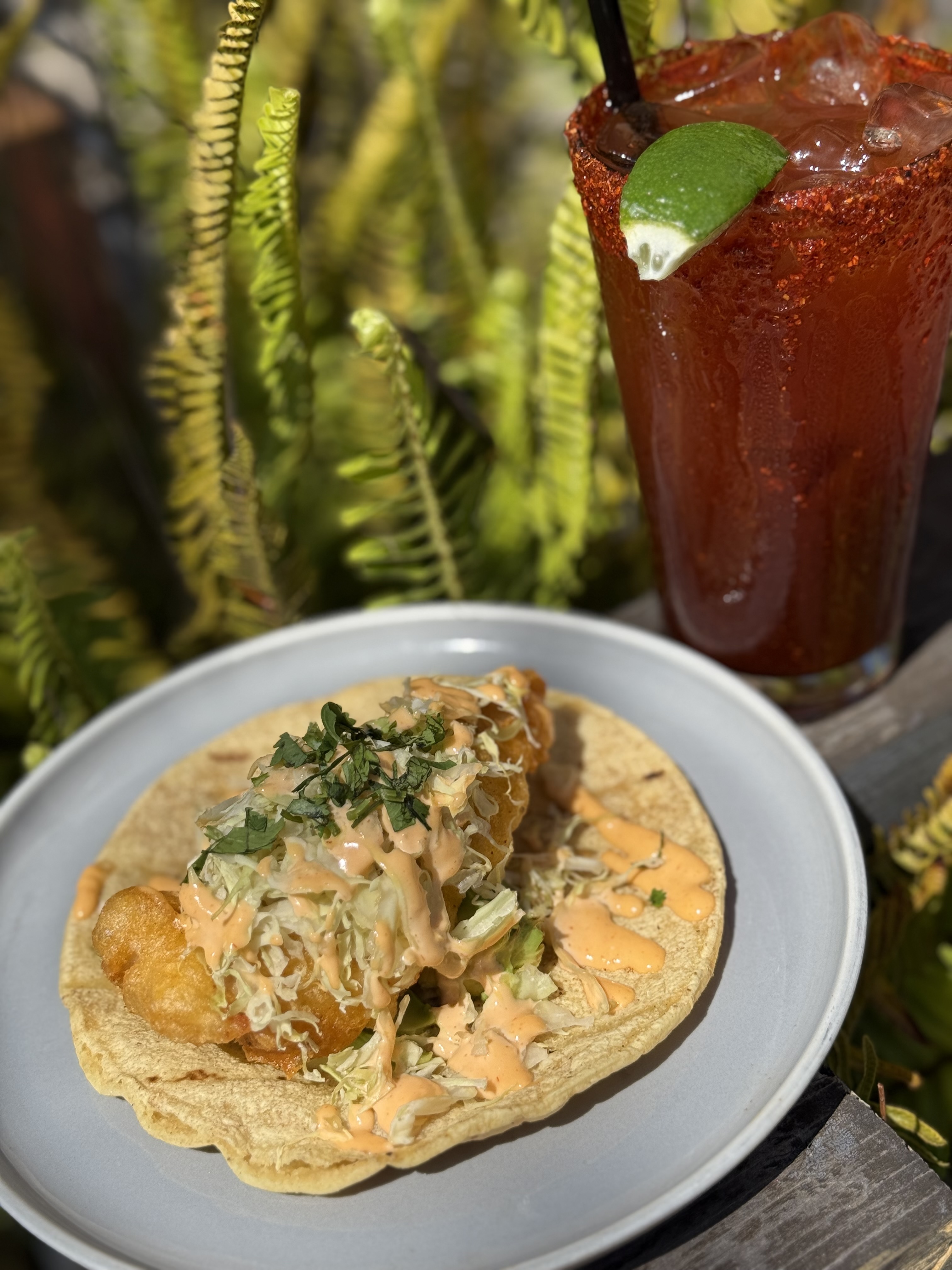Fried Fish Taco