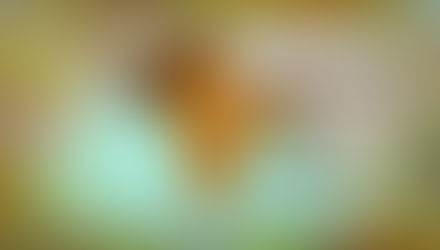 Partition of India and Beyond