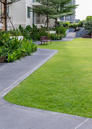 Modern Garden Path